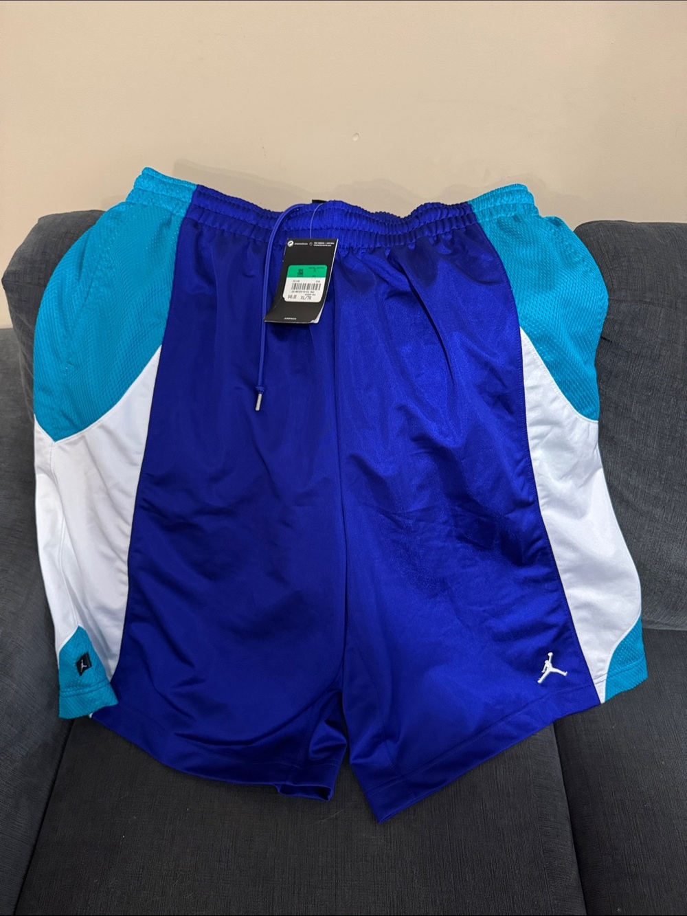 Jordan Men's Royal Blue & Teal Basketball Shorts with White Panels